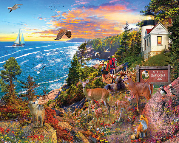 1000 Pc Puzzle-Acadia National Park
