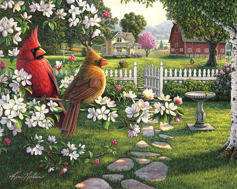 1000 Pc Seek & Find Puzzle- Country Life-Kim Norlien