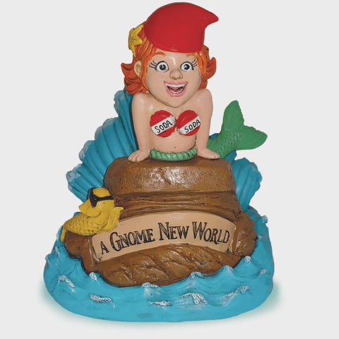 little MER-GNOME