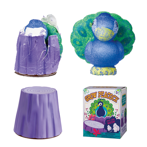 Hatch ‘N’ Grow - Peacock