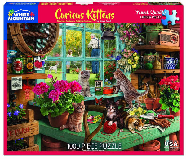 1000 pc Puzzle - Curious Kittens