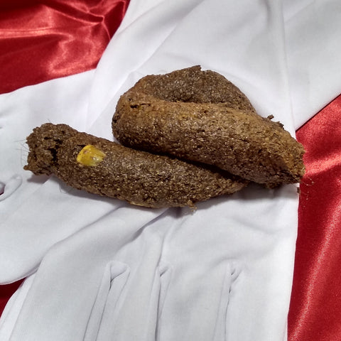 Premium Fake Dog  Doo  World's Best