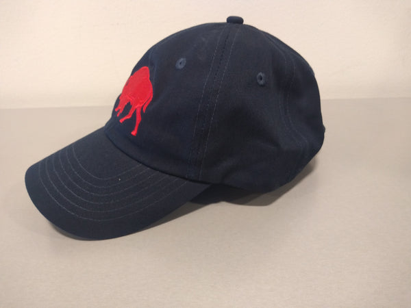 Vintage Buffalo Caps