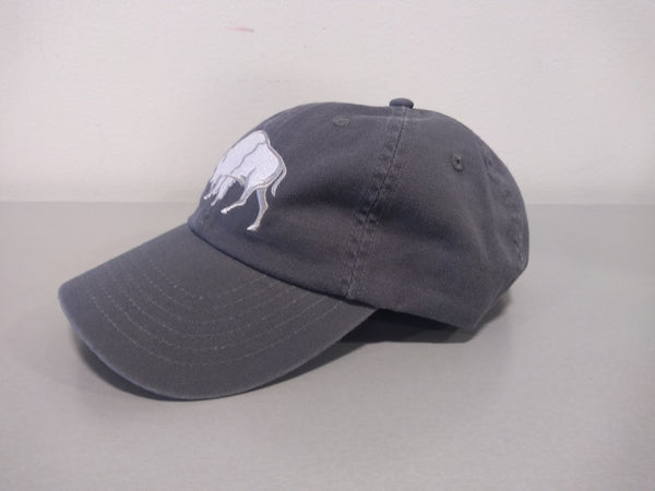 Vintage Buffalo Caps