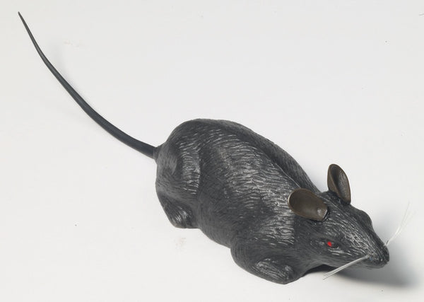 Rat-PC Blow Molded
