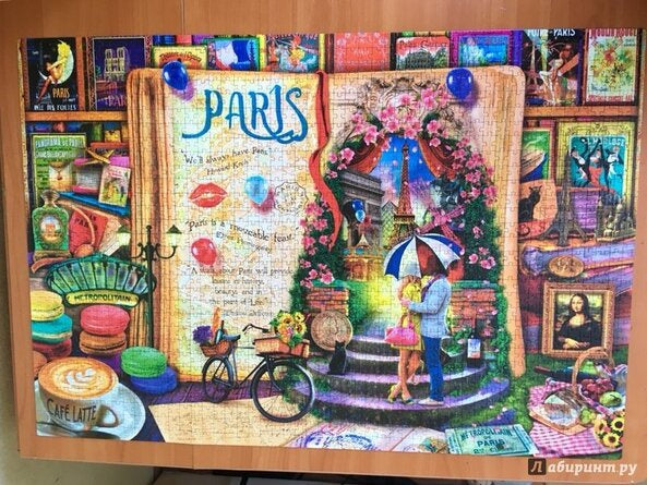 1000 Piece Jigsaw Puzzle - Life is an Open Book: Paris