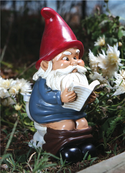Gnome on a Throne