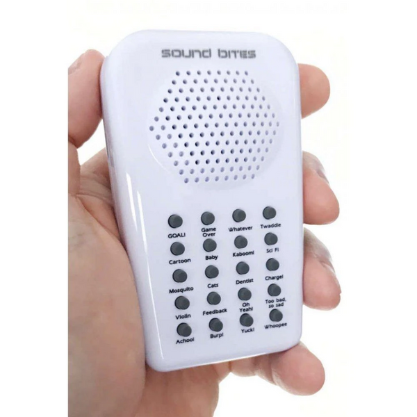 Electronic Sound Bites