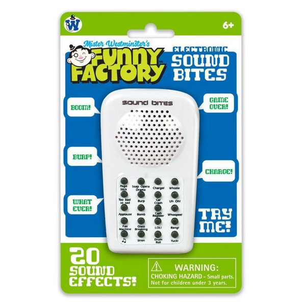 Electronic Sound Bites