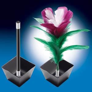 Magic Appearing Flower