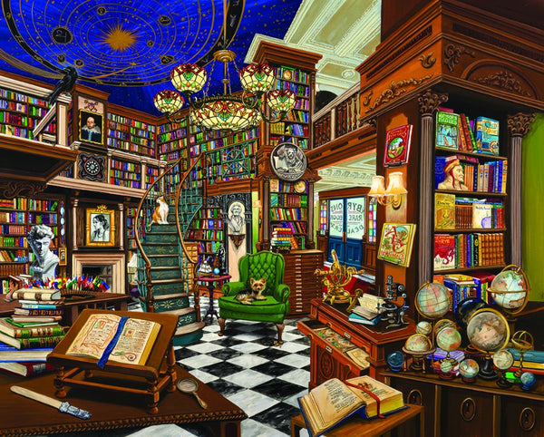 1000 Piece Jigsaw Puzzle  Rare Book Store