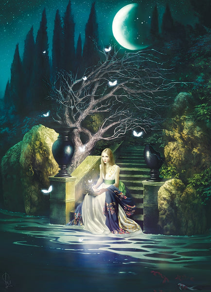 1000 Piece Jigsaw Puzzle  Ten Wishes